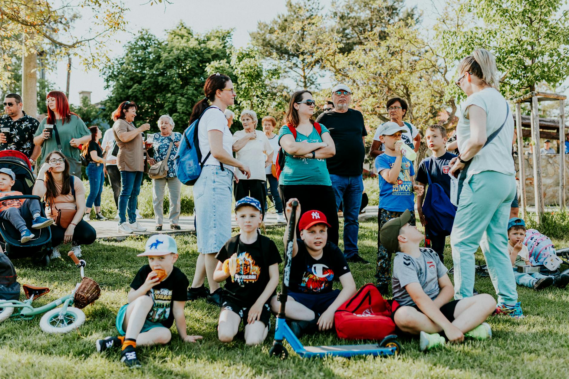 Krajobraz Jedliny-Zdroju z zielonymi wzgórzami i drzewami, symbolizujący dbałość o środowisko.
