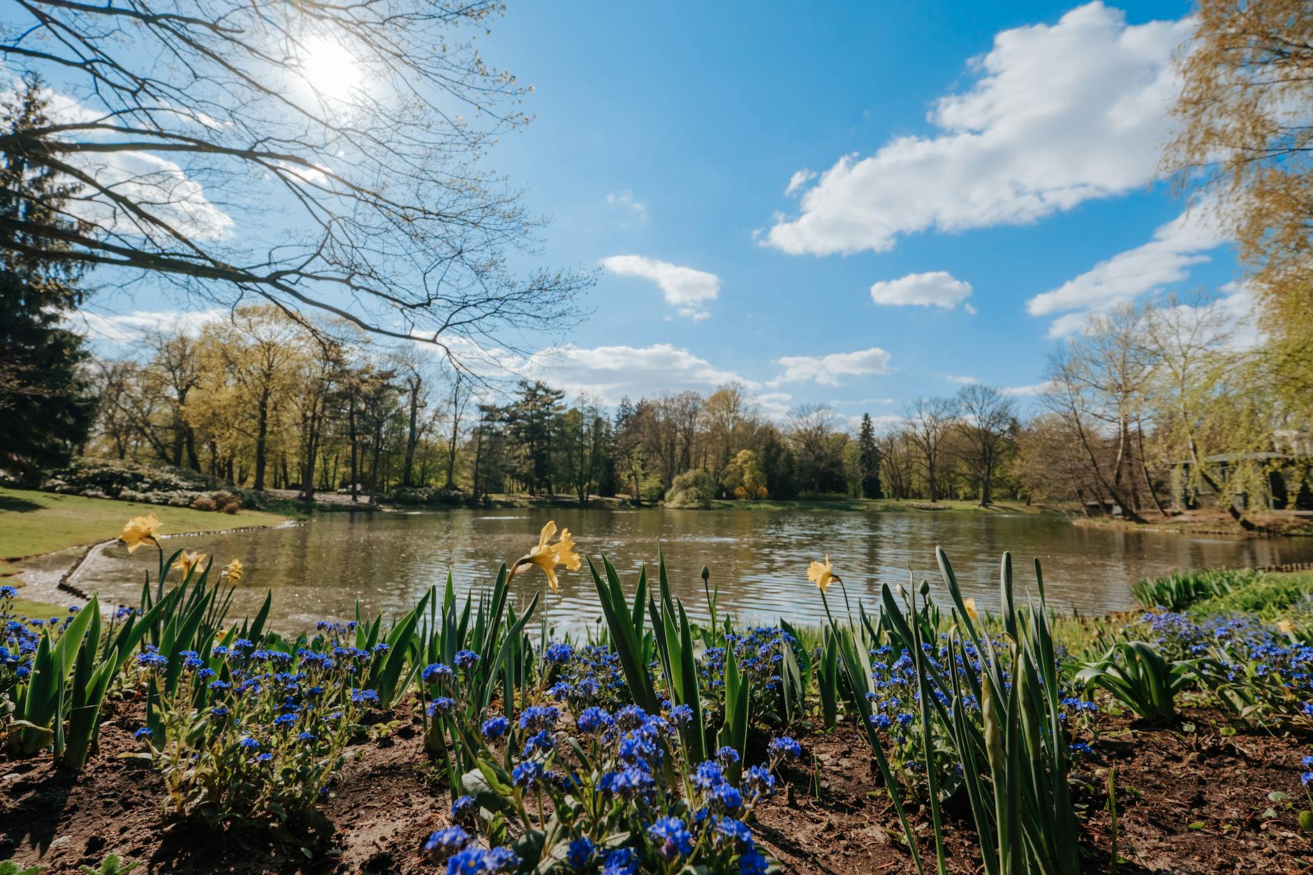 Widok na uzdrowiskową architekturę Jedliny-Zdroju otoczoną zielenią i kwitnącymi drzewami wiosną.